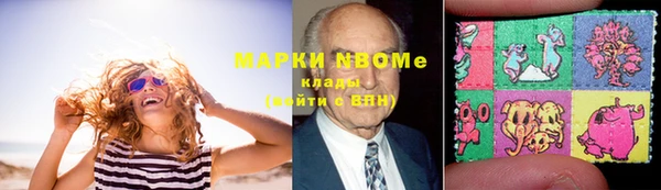 прущие грибы Армянск