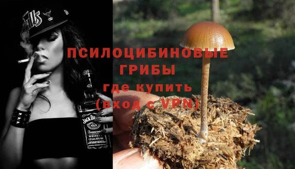 mix Арсеньев