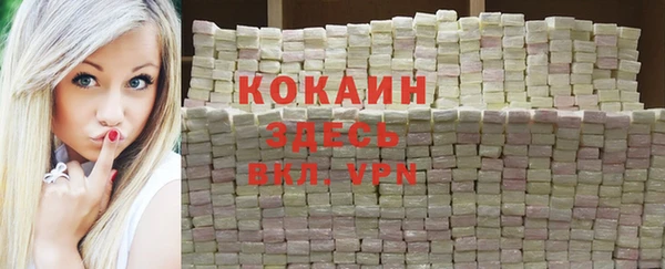 прущие грибы Армянск