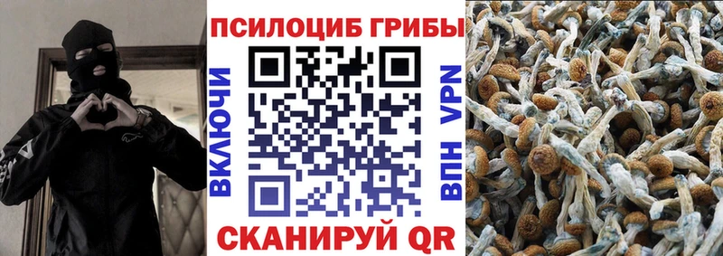 Псилоцибиновые грибы мицелий  Кущёвская 